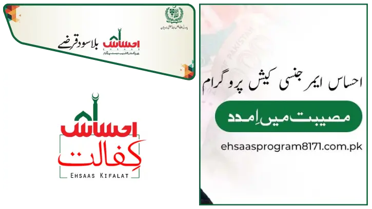 Types of Ehsaas Program